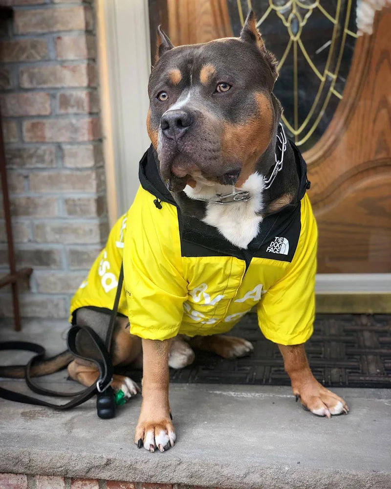 Dog Shirt