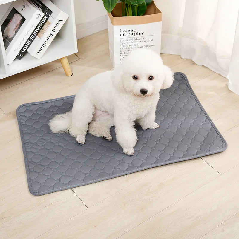 Puffy Dog Pad