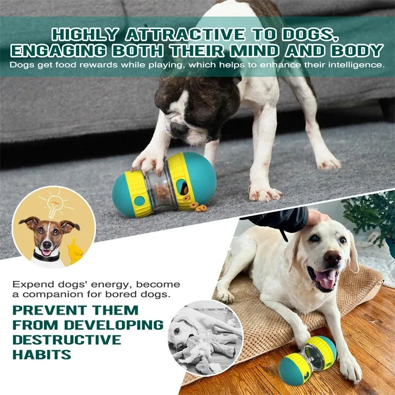 Elliptical Track Rolling Ball Tumbler