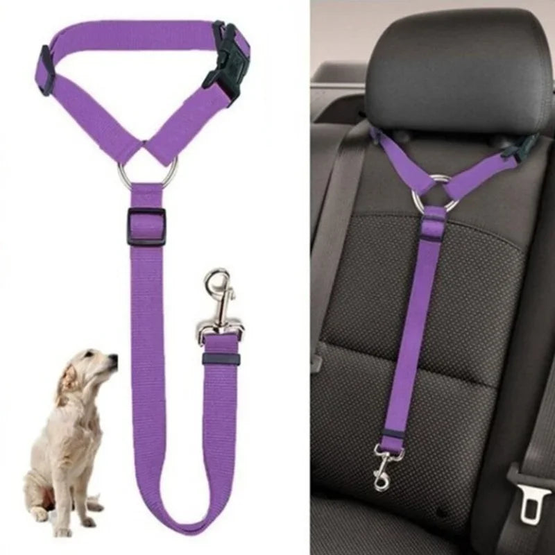 Dog Car Travel Leash