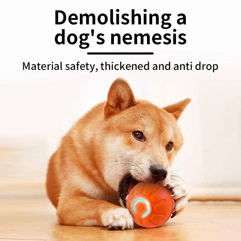 Dog Chew Ball