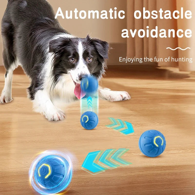 Dog Ball Toy