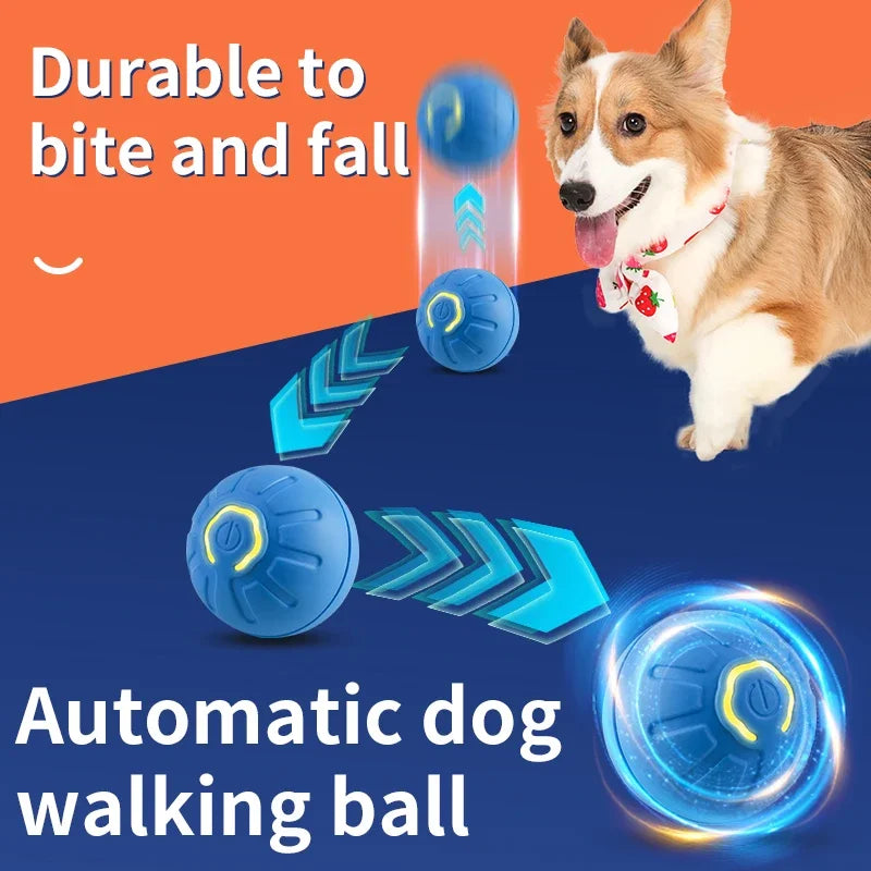 Electronic Interactive Pet Toy