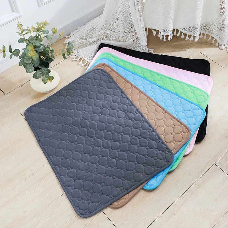 Dog Pads in Assorted Colors
