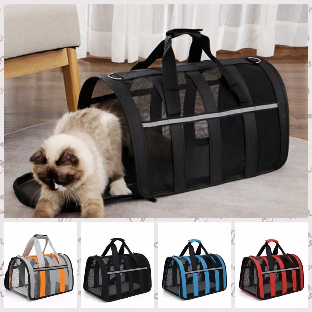 Cat Carrying Tote in Various Colored Stripes