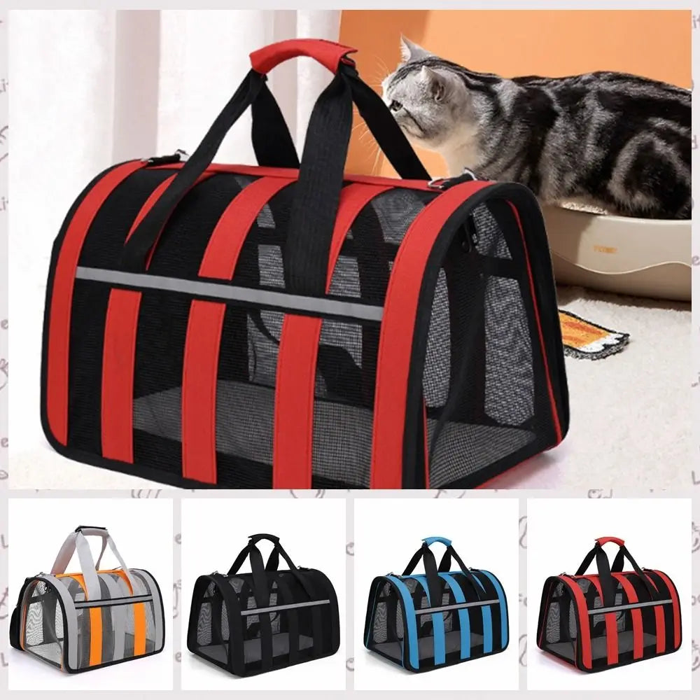 Animal Carrying Case in Assorted Colors