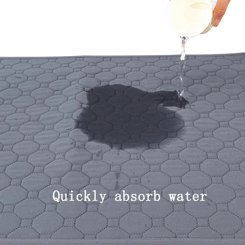 Dog Pad for Spills