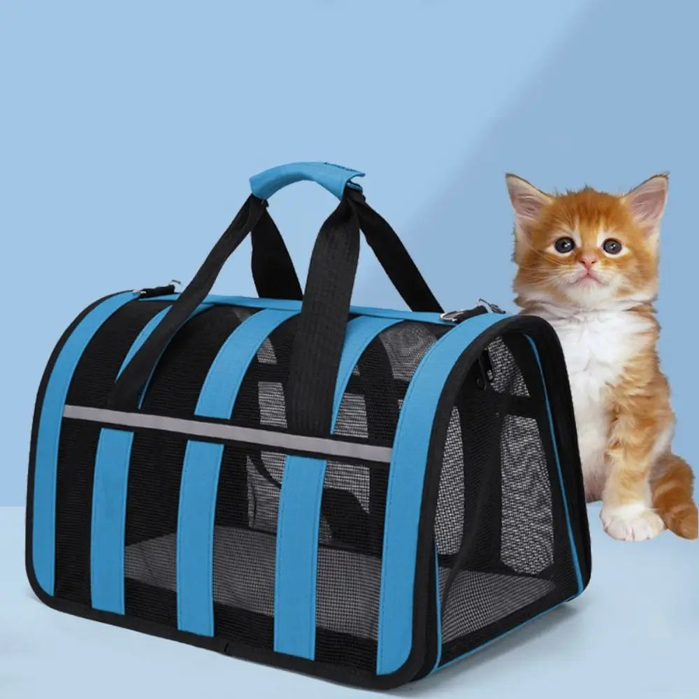 Cat Carrying Case in Blue