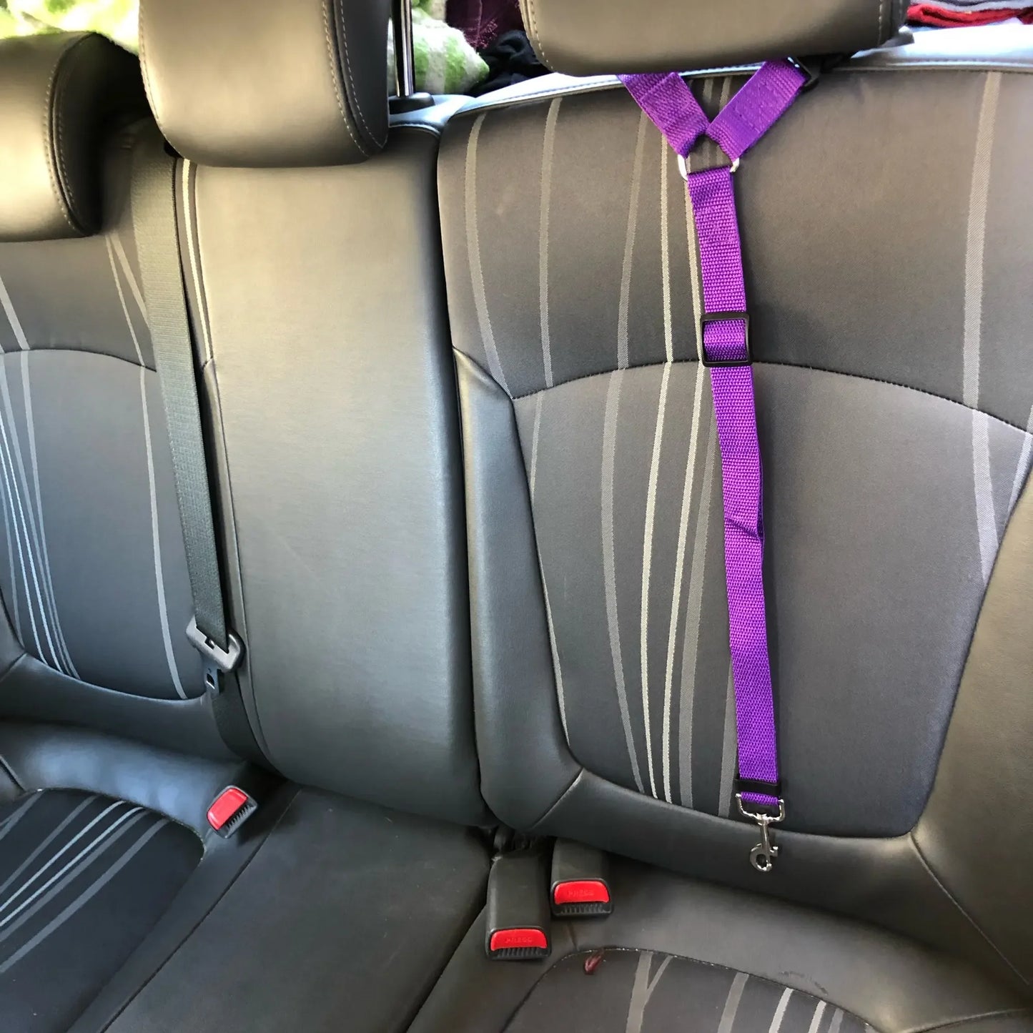 Traveling Car Leash in Purple