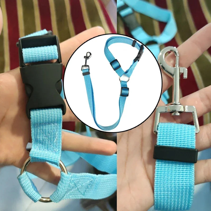 Dog Car Leash for Traveling