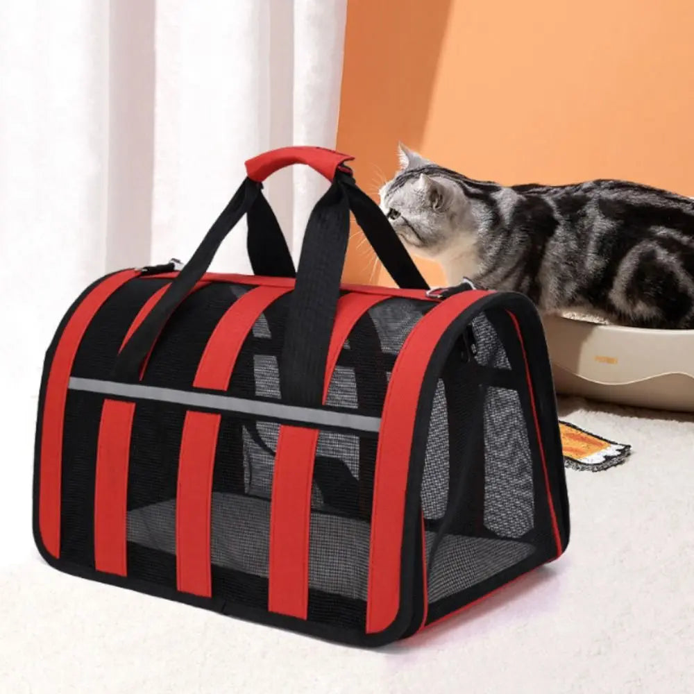 Cat Carrying Case