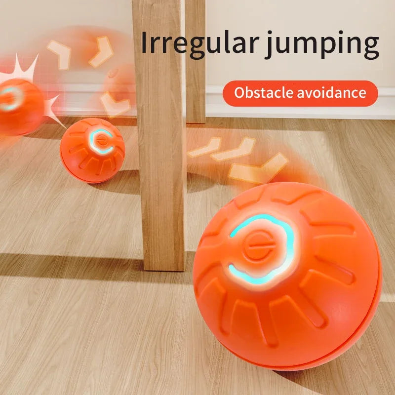Electronic Interactive Pet Toy