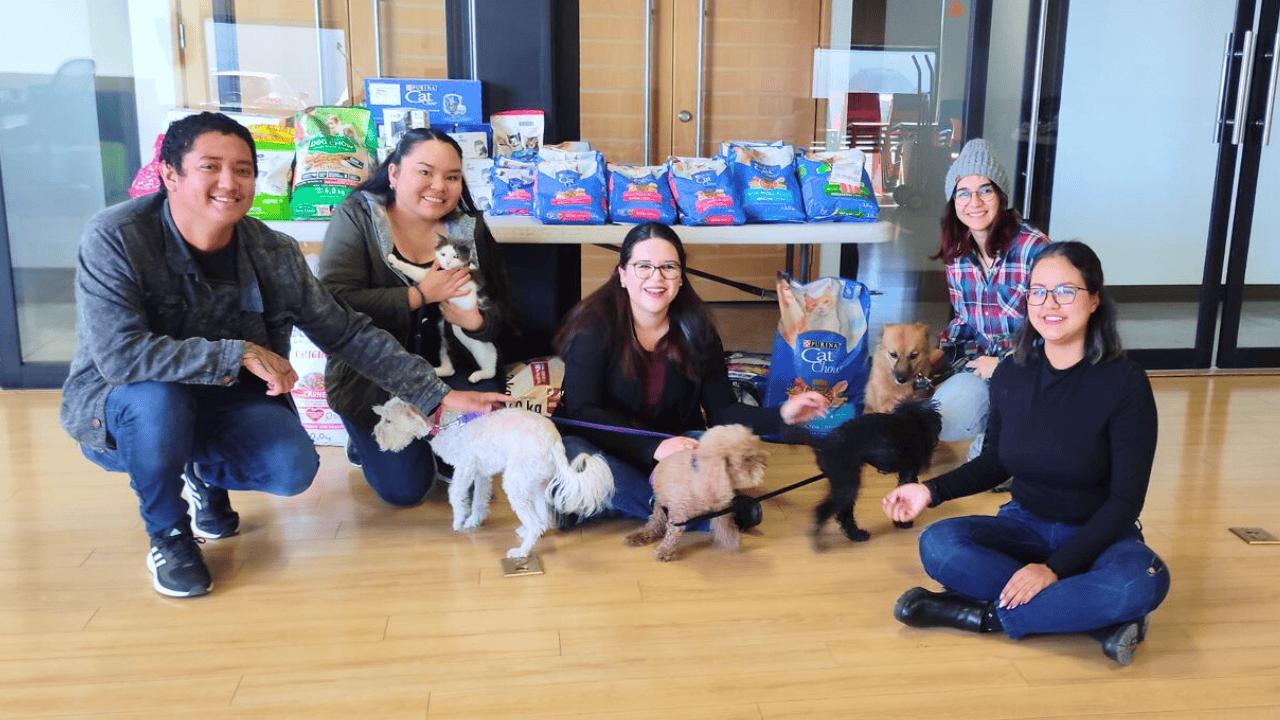 Pet pantry volunteers with donated food and animals