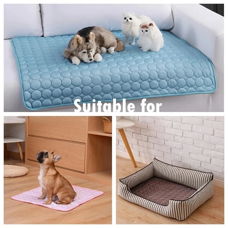 Dog pads and beds