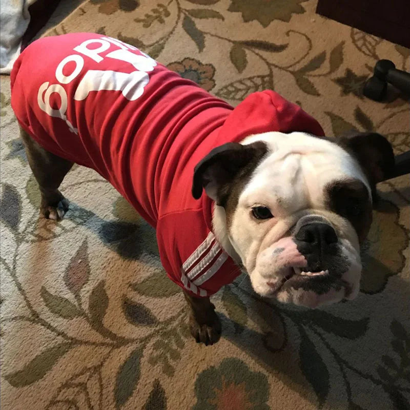 Dog Shirt in Red