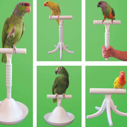 CAITEC Parrot Stand Toys