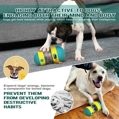 Elliptical Track Rolling Ball Tumbler