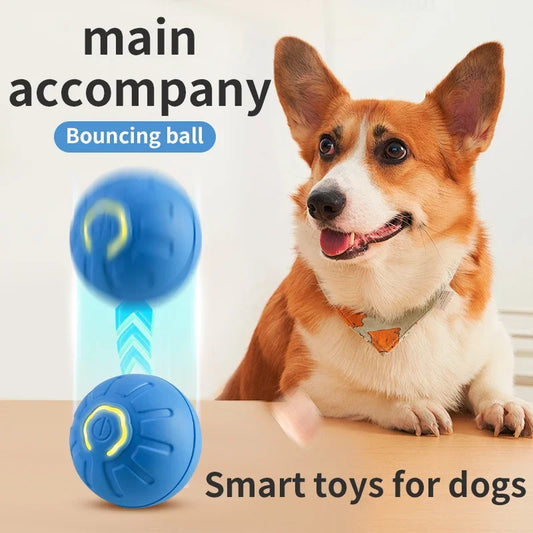 Dog Bouncing Ball