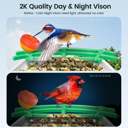 Dokoo Smart Bird Feeder