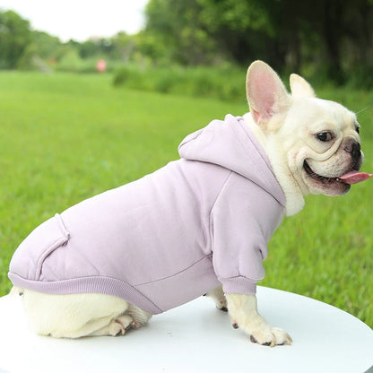 Hooded Dog Shirt in Lavender