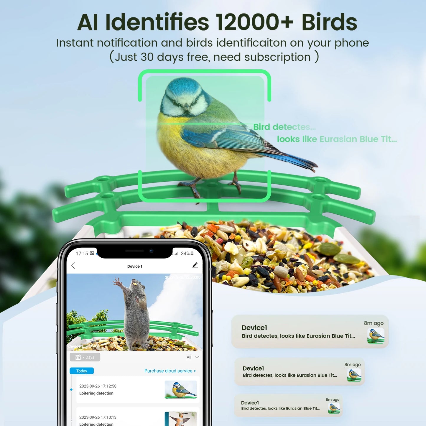 Dokoo Smart Bird Feeder