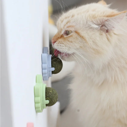 Rotatable Catnip Ball Wall Sucker