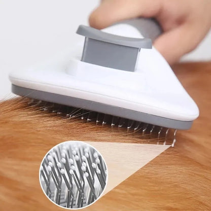 Pet Comb Brush