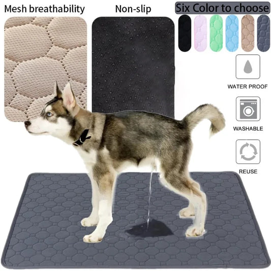 Dog Pee Pad in Six Colors